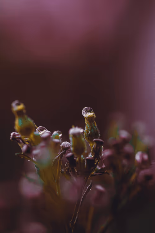 Item #110843191158220311663408589832334873758913224296124318855589226648331777736714 Media