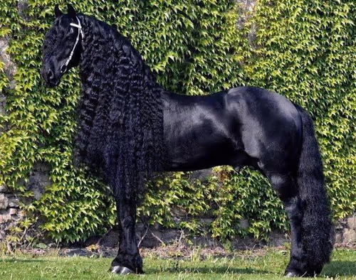 2468119463308914702005443652102614178506533567319377457804557024062175444993