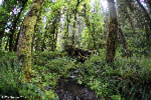 Item #77578914739546887048818332313932665161765433079396936366754535094279093616641 Media