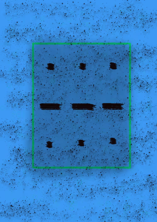 Item #42828633583342748953011678568639331296590951934285161443545613865263254470657 Media