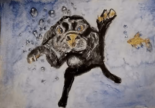 Item #53661683660994396488981893260373811515315705590489664499670501602516231358112 Media