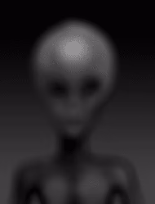 Item #97615576640162629911649531983321930993895738438201518663041186163893710356490 Media