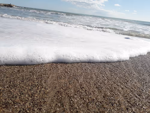 Item #44616301630561974021657187332907259092306651751540590085300476875659485904897 Media