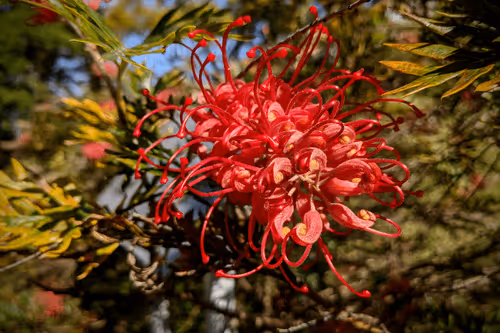 Item #39075669952795110311488058078452160275975432518977374571902800568437251768321 Media