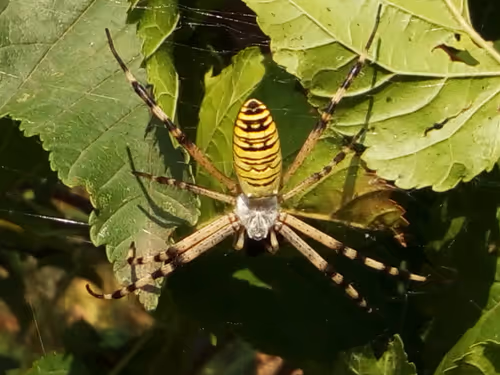 Item #18279368597565041265121237626867746954701071610314993633361532907107777511425 Media