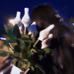 Lost Night and Red Roses