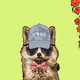 13313825994980351745506845005889443412334519340224243119891185604847428698113