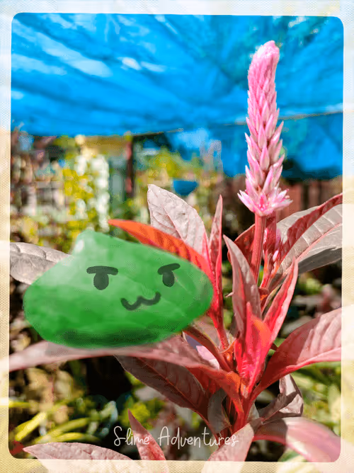 Item #41355678400750391027740889064329858027776517010910147596377143225097144762369 Media