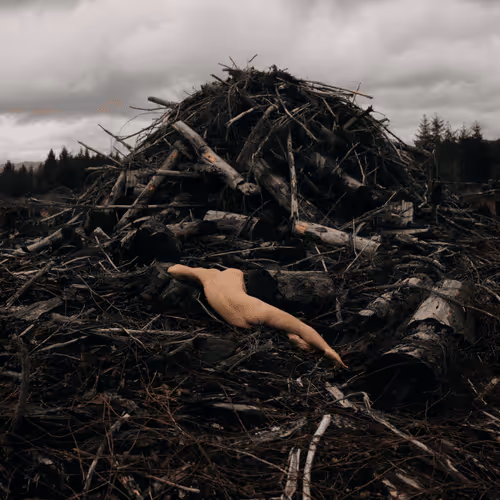 Item #78290495778488024413402900412975028234166831643233263215137554343977732276225 Media