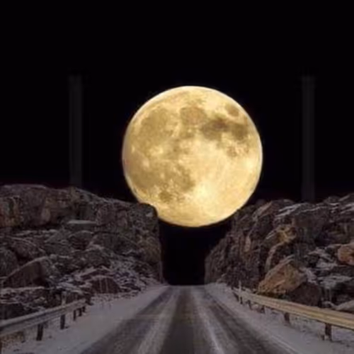 Untitled Collection #115275408