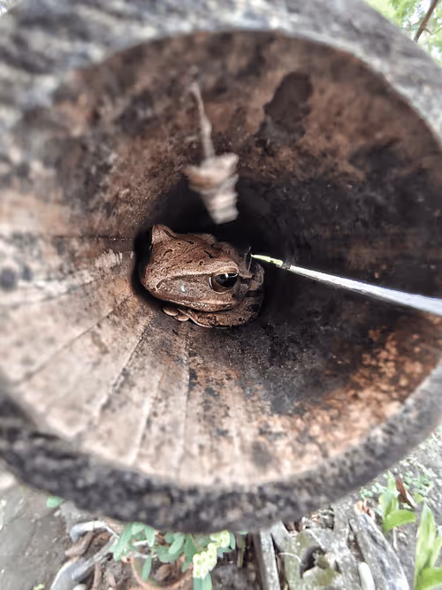 Item #108432430116039437497769170398403606579322061371426367389515976285418376134657 Media