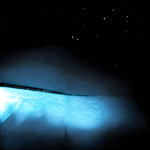 Item #72985999153742788917036858211909196762595152832976492274408758067702133686273 Media