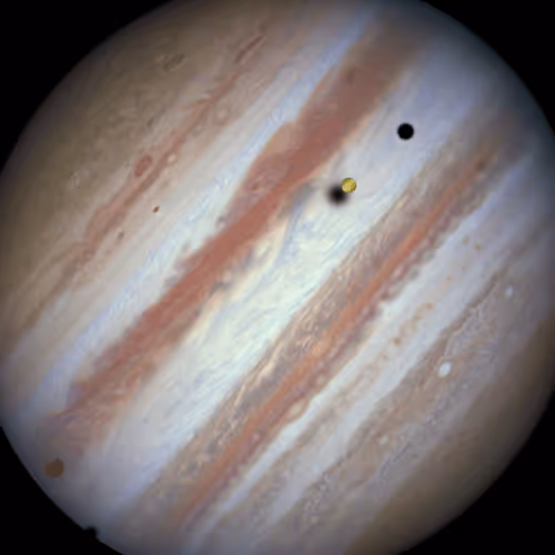 Item #48123260108416216485386866819872412066587216369492635371751053987068170469377 Media