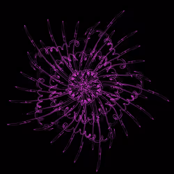 85050421982695483123867570513677519131003796958833827543775578545647672885249