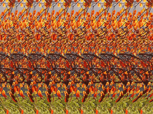 Item #58284496933605350558102452282782355821048818608266195453909625860559866953729 Media