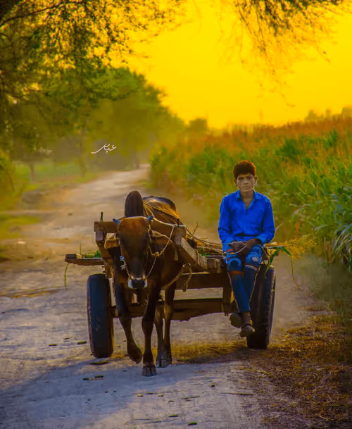 Item #9104047852343460824823657095955061139286762947505329334286274257688845090817 Media