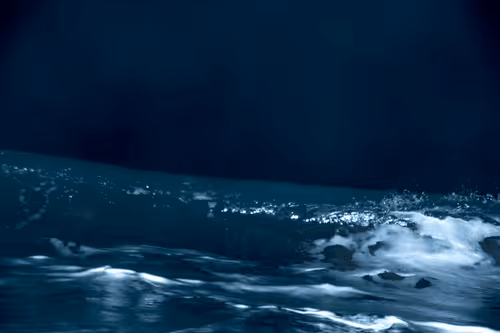 Item #65334289746679534718729475887804441956060191570096093289886828080583959117825 Media