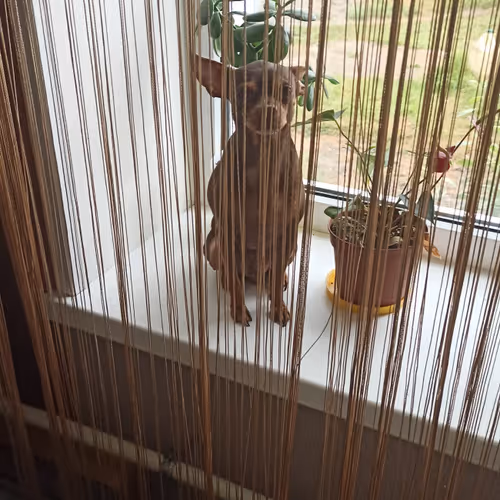 Untitled Collection #181745620