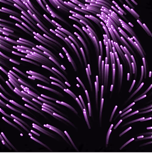 Item #18188641774722569462862161612624599961987570964687117327932822781701079957505 Media