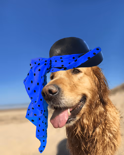 Item #26839399415497039076862880694069072006331525189107682525417321737905598627841 Media