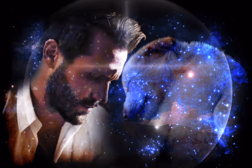 Item #68434927891014624317415557062834137852143522696892265020517829256426438000641 Media