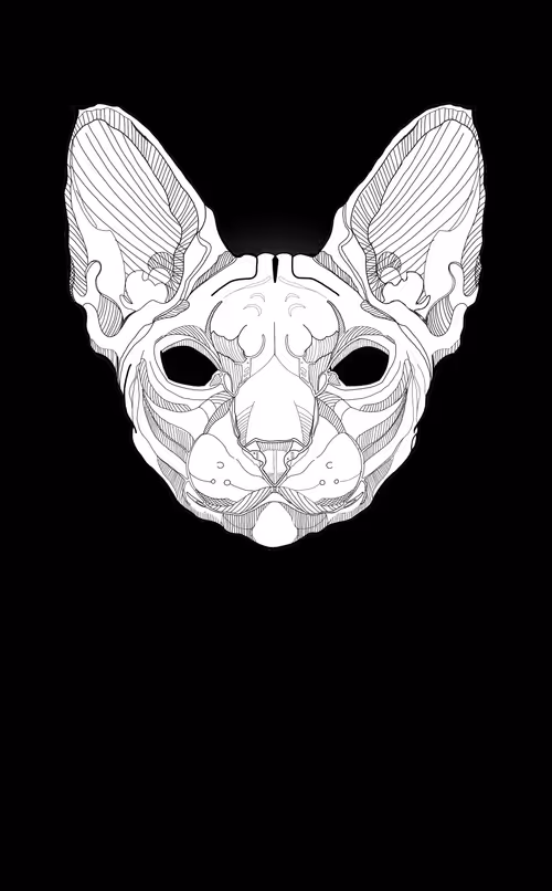 Item #84297988521860449487920326360898468511054866812923401198130100115147149279233 Media