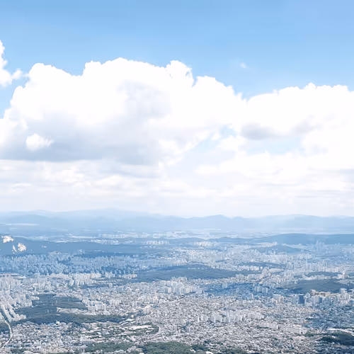 Untitled Collection #124315151