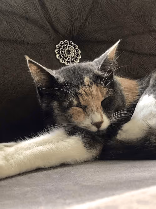 Item #14464008018806657032791712950443942838923644749825459179522451975993326305281 Media