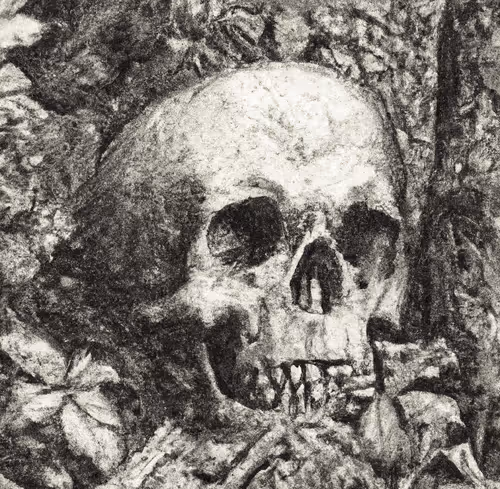 Item #54458992296567811908007104451167799420239702319712691159319554539980408750081 Media