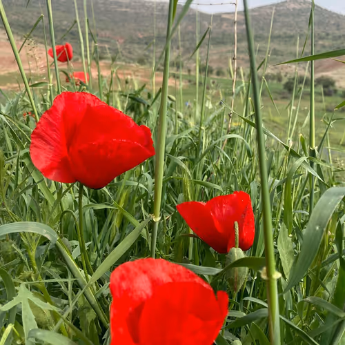 Unidentified contract - Ndt1FKloVU