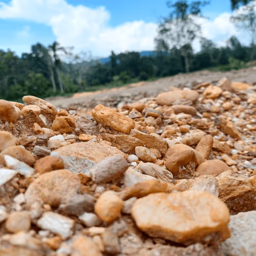 Item #32708508987210996203505439108186848896243903998336501445034175491434719739905 Media