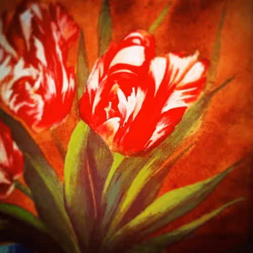 6319528205725192402137538471635698670390567315574369707282574016313659752449