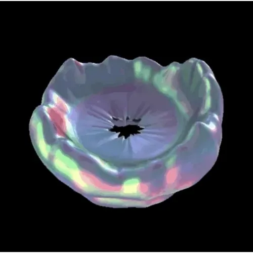 Item #59523051388572428041164192842493960245796907557797743474107445631938283538080 Media