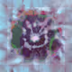 34307456476492360345654558693992905863696697815255734086621001182798336229377
