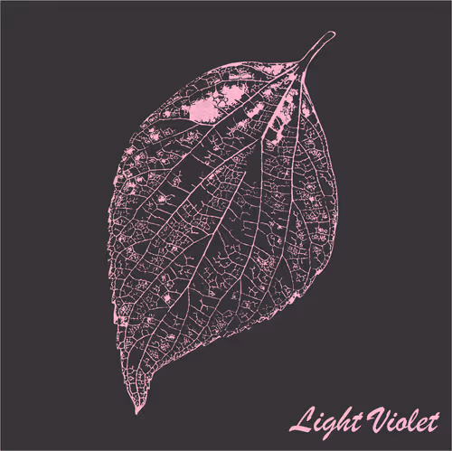 Item #40167138637940562108431742001123872206105593199433866487640627841764859838465 Media