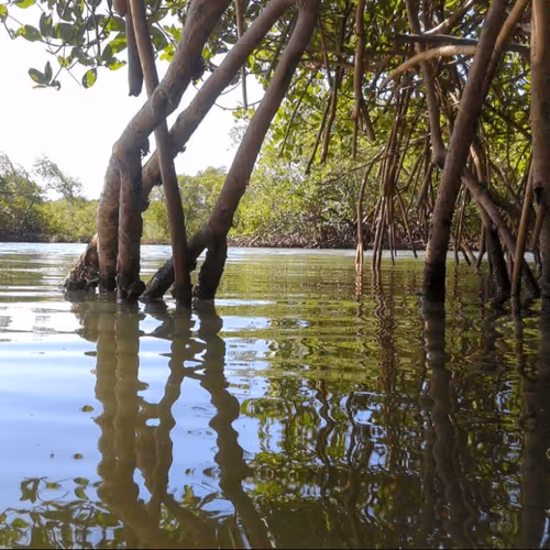 Untitled Collection #162251910