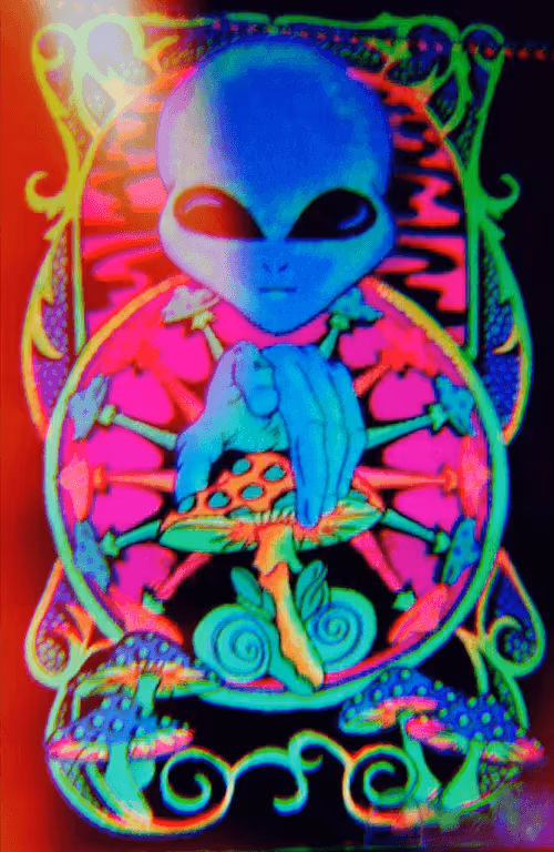 Item #81263399984616529037860381855326718868677639021773965915459414270153506947082 Media