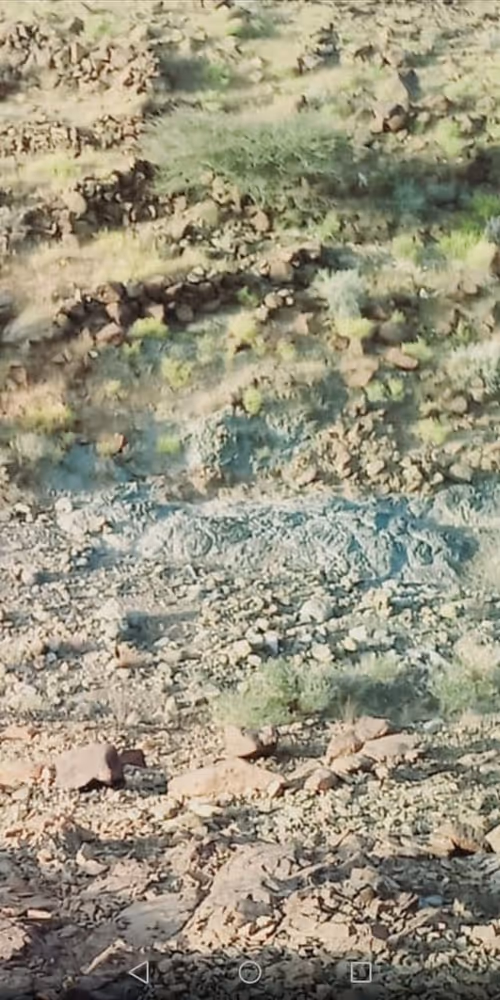 Item #2755737300527026730385303795661053728959000643299834707930148968758161440769 Media