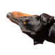 74388183107571848256633446996010033662379072698002169646249461036662202040321