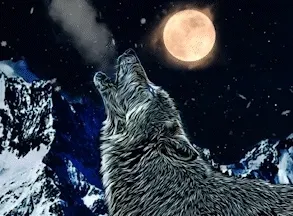 Item #54658049979898971032355539673876588794277822125732617114510633370708487438386 Media