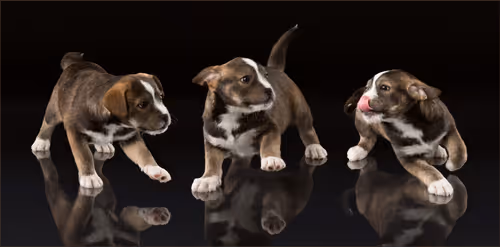 Item #39267609400351157350082818508963900481325606176986545385386430964064300564481 Media