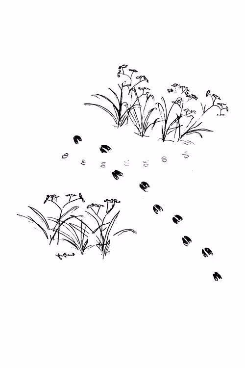 Item #70871756030389975058171529846995727787317915111569472167377253027561529671681 Media