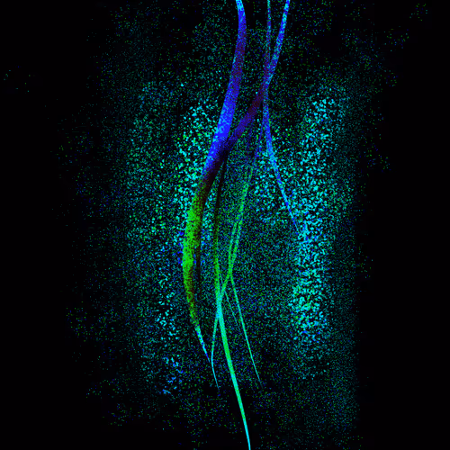 Item #54223942118458018475773761912515880898679735035654901743236843535405770866938 Media