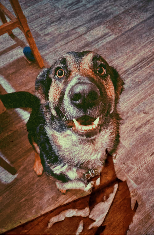 Item #28912824387261410072428354512640218471530640926949514501579119647304577974273 Media