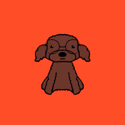 Peachy Poodle #2313