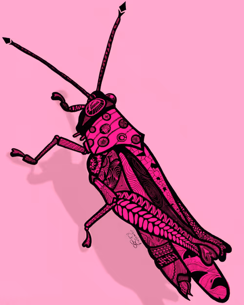 Item #2141876490357759120430650073325956874644020844603919275595865720328745385985 Media