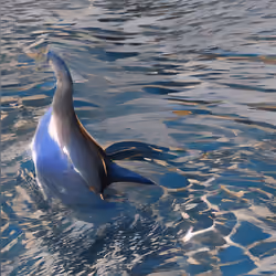 A friend from the sea