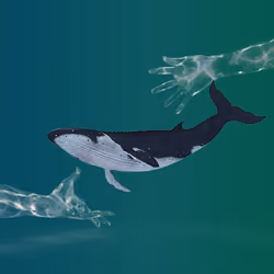Createing new planet 028    whale     largest sea creature