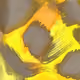 110040502401638372685324702397044656435030328531868233148354208969129455517697