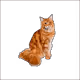 7917608709568526609042417006664391966594597627541652161018316729529174851585